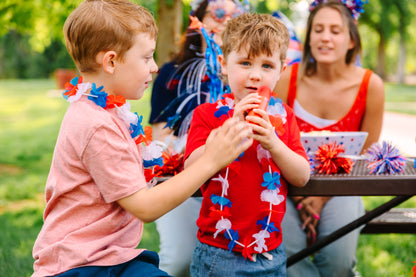 Karaoke Machine - USA